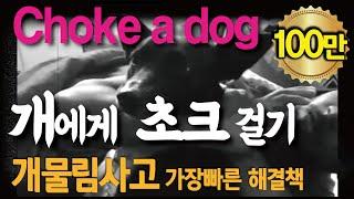 개 물림 사고 탈출 가장 빠른 방법 백초크  How to Put a Back Choke on a Dog. Fastest way to escape a dog bite accident