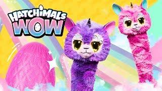 WOW! It’s Hatchimals WOW! The Hatchimal that GROWS & GROWS 