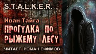 S.T.A.L.K.E.R. Прогулка по Рыжему лесу (аудиокнига). ПОСТАПОКАЛИПСИС. Читает Роман Ефимов.