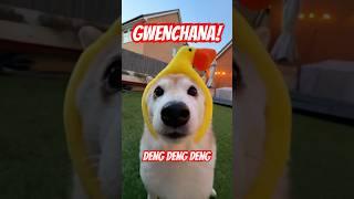 GWENCHANA 4️⃣ Deng Deng Deng #cutenessoverload