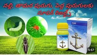 BASF Pirate insecticide full details in telugu #agristudent #agrochemicals #pesticides .