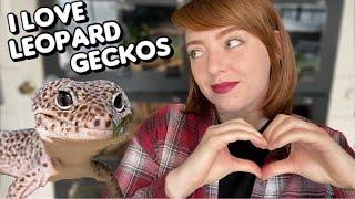 5 Reasons I LOVE Leopard Geckos!