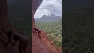 What really happens behind the camera… #instavsreality #sedona #hiking #arizona #arizonahiking