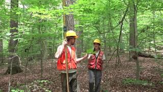 A Field Reconnaissance Day in SERC for the ForestGEO Transcriptomics Study