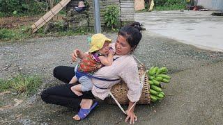 Single mother - Harvesting bananas to sell, the neighbor wants to take the land