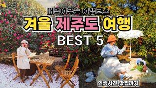 제주도 겨울 여행 가볼만한곳 여행 코스 베스트   동백꽃, 감귤체험, 우도정원, 서귀포 카페