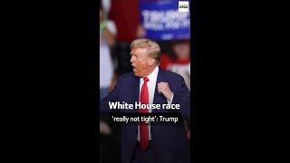 White House race ‘really not tight’: Trump