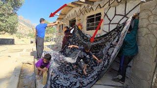 "A Day with the Family: Cooperation and Joy in the Heart of Nature"