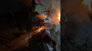 Mattu Pongal 2024