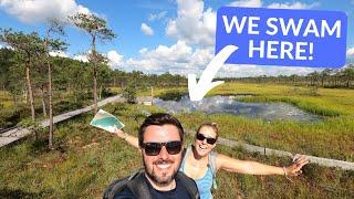 BRITS in a BOG! We went SWIMMING in a BOG in Soomaa National Park, Estonia! Plus hiking & kayaking