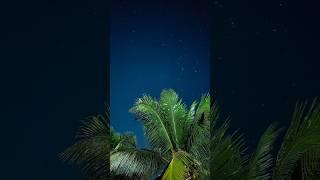 How to click stars with Phone | Very easy tutorial | Click with any phone  #youtubeshorts