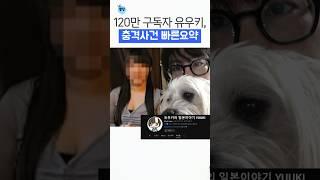 유우키 사건 완벽요약