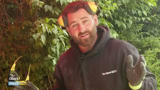 Tile Giant Trade Outdoor 20mm Cutting