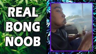 WEED MEMES & Fail Compilation [#231] - Fatally Stoned