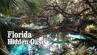 Exploring Juniper Springs