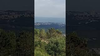 #shorts #sintra #portugal #naturalpark #nature #wildlife #greenheart #travel   #naturalbeauty