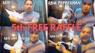 5th Free Raffle | Mamimigay ulit tayo ng Bio Pigeons | Panoorin kung pano tayo kumuha ng ibon