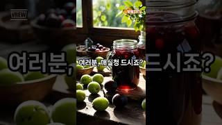 "매실청 효능,알고 드세요?"   #핫캣치TV #소화잘되는음식 #노년생활