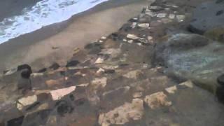 steps to the sand and sea