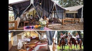Let's Take It Outside with Misty Wells: Glamping: where nature meets luxury