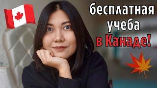 Учеба в Канаде  |5 причин обучаться в Канаде, система образования, требования и бесплатные ресурсы