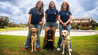 UCF Students Train Future Service Dogs