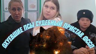 Охуевшие Псы Судебный Пристав ФССП #приставы #фссп #полиция #пристав #рекомендации #топ #дпс #sorts