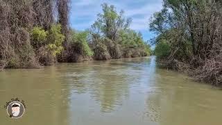 Excursii in Delta Dunării la mijlocul lunii aprilie 2023. Danube Delta tours from Tulcea in april 23