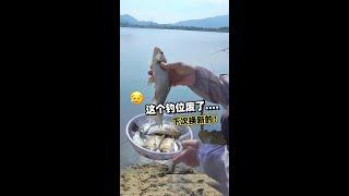 这个钓位废了，下次换个新的。。。。。。#fishing #钓鱼 #釣魚