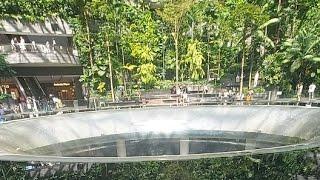 jerrys vlog goes to singapore