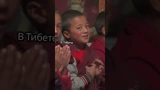 Гробницы Капсулы Вечности: Кто Хотел Пережить Тысячелетия?