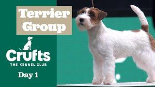 Terrier Group Judging | Crufts 2025