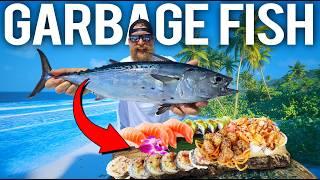 How to Make Sushi Out of Bait Fish - Bonita Catch and Cook Day 3