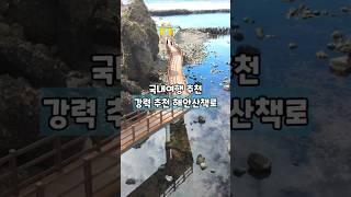 강력 추천 해안산책로 /국내여행 추천 /5월 국내여행지 추천 /5월에 가볼만한곳 /포항여행 /둘레길 가볼만한곳 /걷기 좋은 길