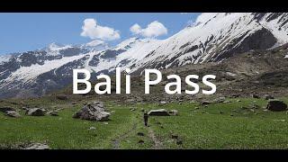 Bali Pass Trek | Uttarakhand | Indiahikes | June 2023 (4K)