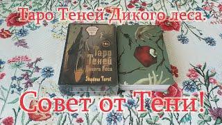 Таро Теней Дикого леса. + Совет Тени! Shadow Tarot.