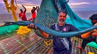 Amazing! Deep Sea Fishing Millions Of Garfish & Sea Snakes |DAY-5 | EP -5|