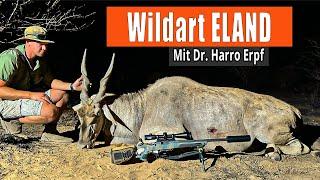 Wildart Eland: Vorstellung durch Dr. Harro Erpf | JAGD TOTAL