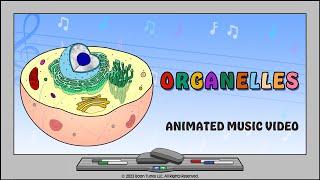 Intro To The Cell  | Organelles Animated Music Video |