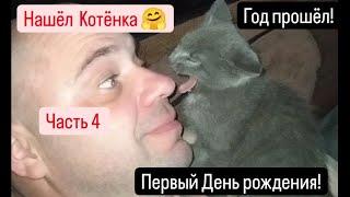 Нашёл Котёнка  Год прошёл!Часть 4.