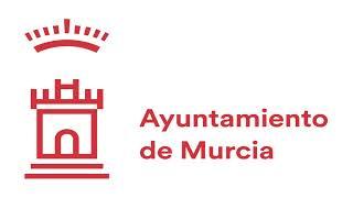 PLENO ORDINARIO DE ENERO AYUNTAMIENTO DE MURCIA