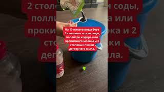 Мощное Народное Средство от Тли и Мучнистой Росы, Которое 100% Работает!  #удобрение  #вредители