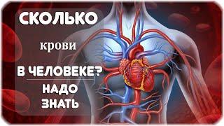 Сколько крови в человеке?