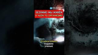 Безумие! Мы живём в чьём-тот организме! #история #факты #шортс