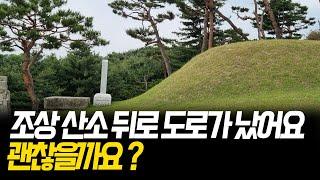 심온 선생 묘소 답사, 풍수지리에서 용맥이 잘리면 기운도 단절되는가?