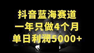 抖音蓝海项目，一年只做4个月，空手套，无货源，单日利润5000+