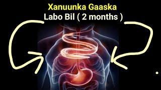 Hadii Xanuunka Gaaska uuku dhibay Raac labo Bil Talada Dr Timajilac ( 2 months only )