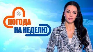 Мокрый снег и гололёд! | Погода в Беларуси с 24 по 30 ноября | Плюс-минус