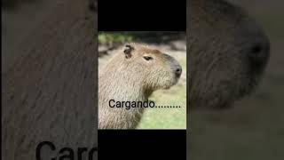 huevos de capibara parte 2 #humor #meme #animal