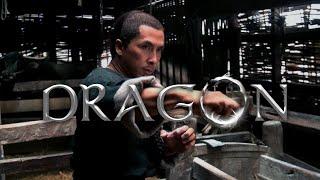 Dragon 2011/ ड्रैगन / Hindi Dubbed/Donnie Yen/Takeshi Kaneshiro/Jimmy Wang Yu/ Superhit Movie